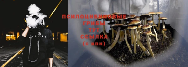 дурь Арсеньев
