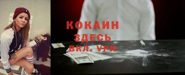 дурь Арсеньев