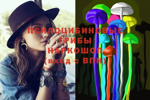 a pvp Аркадак