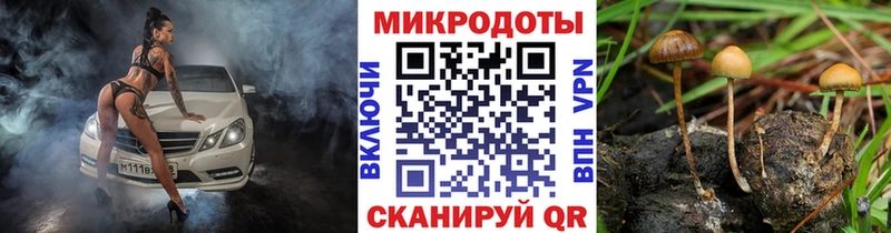 Галлюциногенные грибы прущие грибы  где купить наркотик  Урус-Мартан 